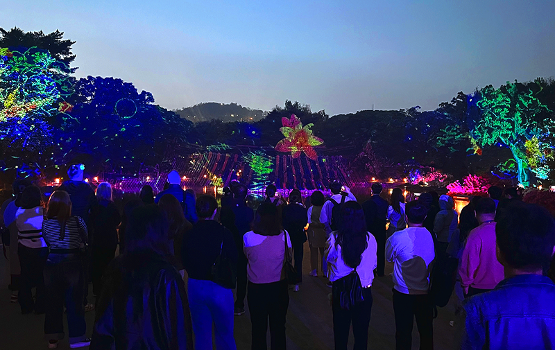Moonlight Lotus Show at Changgyeonggung Palace